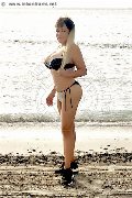 Foto Adel Sexy Girl Cosenza 320 4474254 - 40
