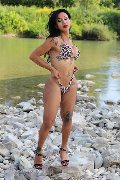 Foto Adriana Paulett Trans Paese 389 1399263 - 81