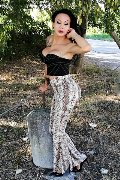 Foto Adriana Paulett Trans Paese 389 1399263 - 32