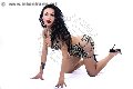 Foto Adriana Paulett Transescort Paese 389 1399263 - 7
