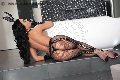 Foto Ale Ribeiro Transescort San Paolo 0055 11957904316 - 82