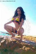 Foto Alessandre Xxii Trans Olbia 331 7852006 - 46