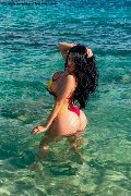 Foto Alessandre Xxii Trans Olbia 331 7852006 - 39