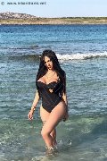 Foto Alessandre Xxii Trans Olbia 331 7852006 - 57