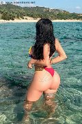 Foto Alessandre Xxii Trans Olbia 331 7852006 - 44