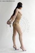 Foto Ana Italiana Transescort Milano 340 2666113 - 59