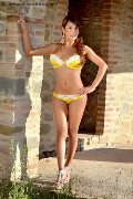 Foto Ariadna D'alessandro Trans Milano 392 5046434 - 82