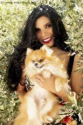 Foto Ariadna Trans Palermo 388 7519396 - 62