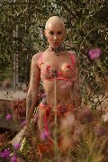 Foto Ath�na Trans Roma 327 0729765 - 9