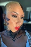 Foto Ath�na Trans Roma 327 0729765 - 14