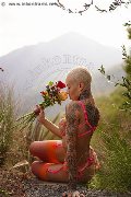Foto Ath�na Trans Roma 327 0729765 - 10