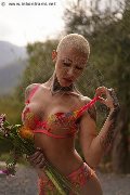 Foto Ath�na Trans Roma 327 0729765 - 11