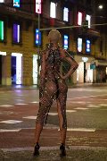 Foto Ath�na Trans Roma 327 0729765 - 17