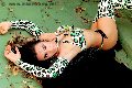 Foto Bella Solare Transescort Castelfranco Veneto 329 6873062 - 23