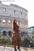 Foto Bely Trans Conegliano 344 5717583 - 28