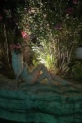 Foto Blondie Escort Civitanova Marche 389 2515978 - 46