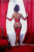 Foto Campbell Trans Porto 393 3357541 - 43