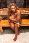 Foto Carolina Hot Trans 327 8147101 - 11