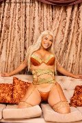 Foto Christine Bigboobes Trans Lisbona 0032 496665361 - 19