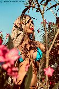 Foto Chrystal Medeiros Pornostar Trans Pescara 389 8313619 - 38