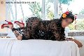 Foto Diana Ferraz Trans Firenze 327 1287566 - 71
