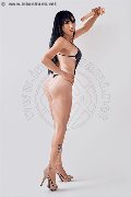 Foto Estefani Trans Latina 346 3594192 - 4