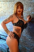 Foto Evelin Sensual Trans Alessandria 346 7304393 - 18