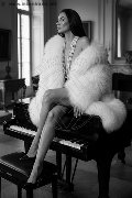 Foto Gabriella Rodriguez Transescort Milano 380 6395947 - 7