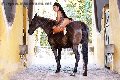 Foto Gabriella Xxl Brasile Transescort Milano 329 2213799 - 70