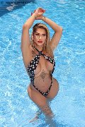 Foto Gaja Trans Ibiza 0034 674836068 - 6