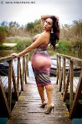 Foto Hambar Trans Girona 0034 656958541 - 17
