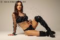 Foto Helena Meirelles Trans Torino 344 7974968 - 39