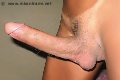 Foto Hot Giselle Diamante Trans 334 7573073 - 1