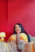 Foto Hot Luana Castrinni Trans Milano 393 1001131 - 11