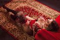 Foto Isabella Santos Trans Catania 338 1521054 - 43