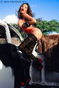 Foto Iza Chloe Trans 320 3481232 - 114
