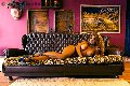 Foto Jessica Aryani Trans Torino 393 2507943 - 23