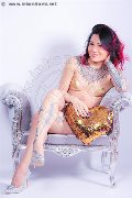 Foto Jj La Numero Uno Trans 351 4555713 - 97