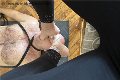 Foto Julia Mistress Cuneo 376 2329100 - 13