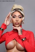 Foto Karollayne Arruda Trans Milano 327 7205075 - 41