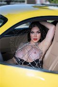 Foto Kim Tifany Trans Amsterdam 344 7063881 - 2