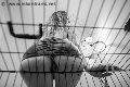 Foto Lady Giuliette Mistress Verona 348 6833721 - 16