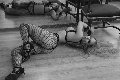 Foto Lady Kika Doncato Mistresstrans Napoli 393 7317905 - 6