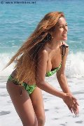 Foto Liisa Asiatica Ladyboy Transescort 348 9026722 - 311