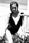 Foto Liisa Asiatica Ladyboy Transescort 348 9026722 - 373