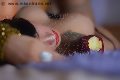 Foto Lisa Valle Transescort Savona 334 1087500 - 88