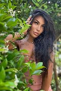 Foto Mandy Asiatica Trans 327 0531479 - 5