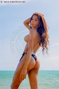 Foto Mell Trans Milano 324 6024840 - 104