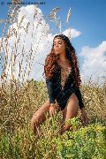 Foto Mell Trans Milano 324 6024840 - 97