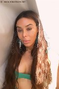 Foto Mell Trans Milano 324 6024840 - 117